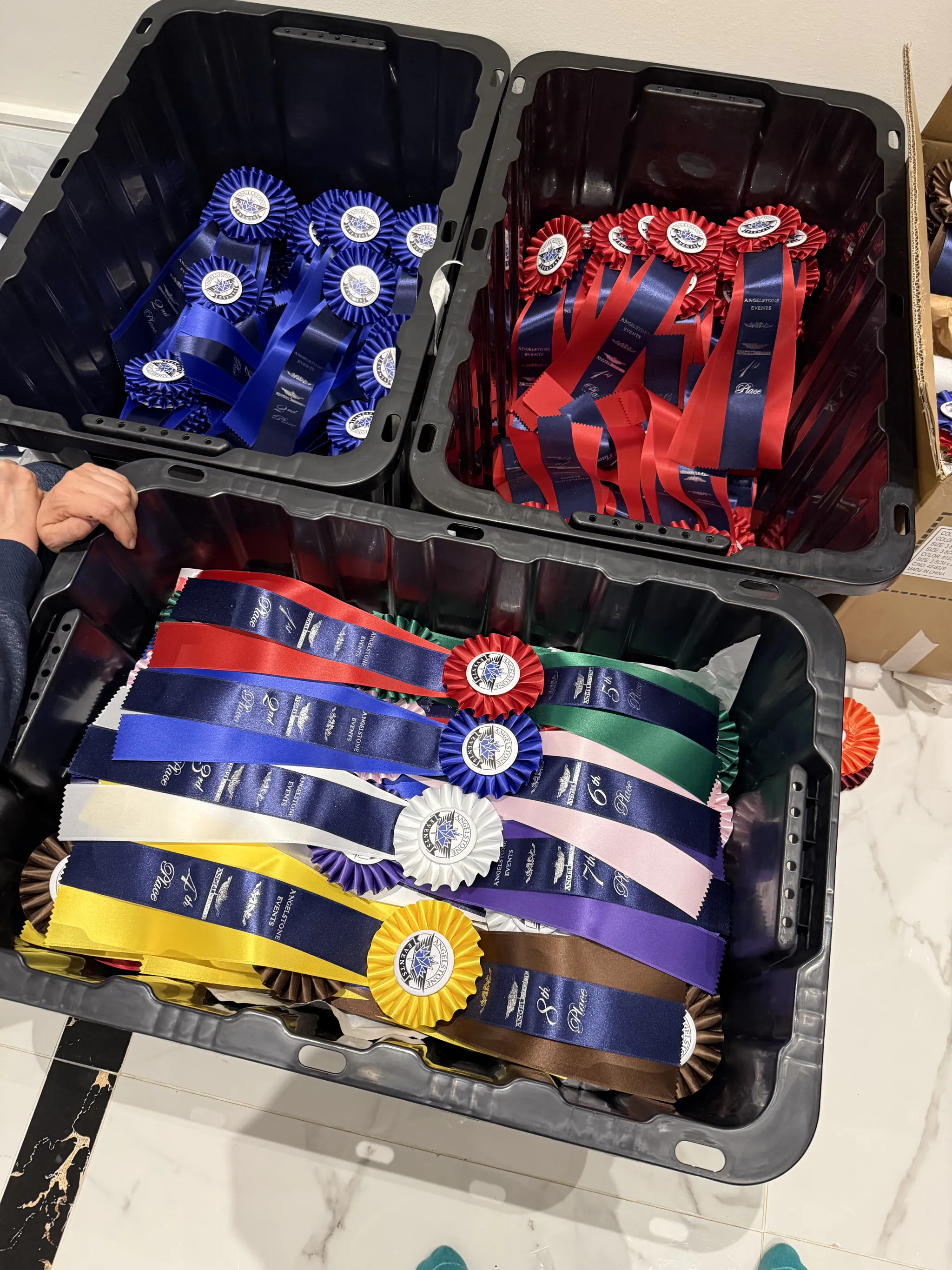 Boxes of custom placing award ribbons for equestrian shows