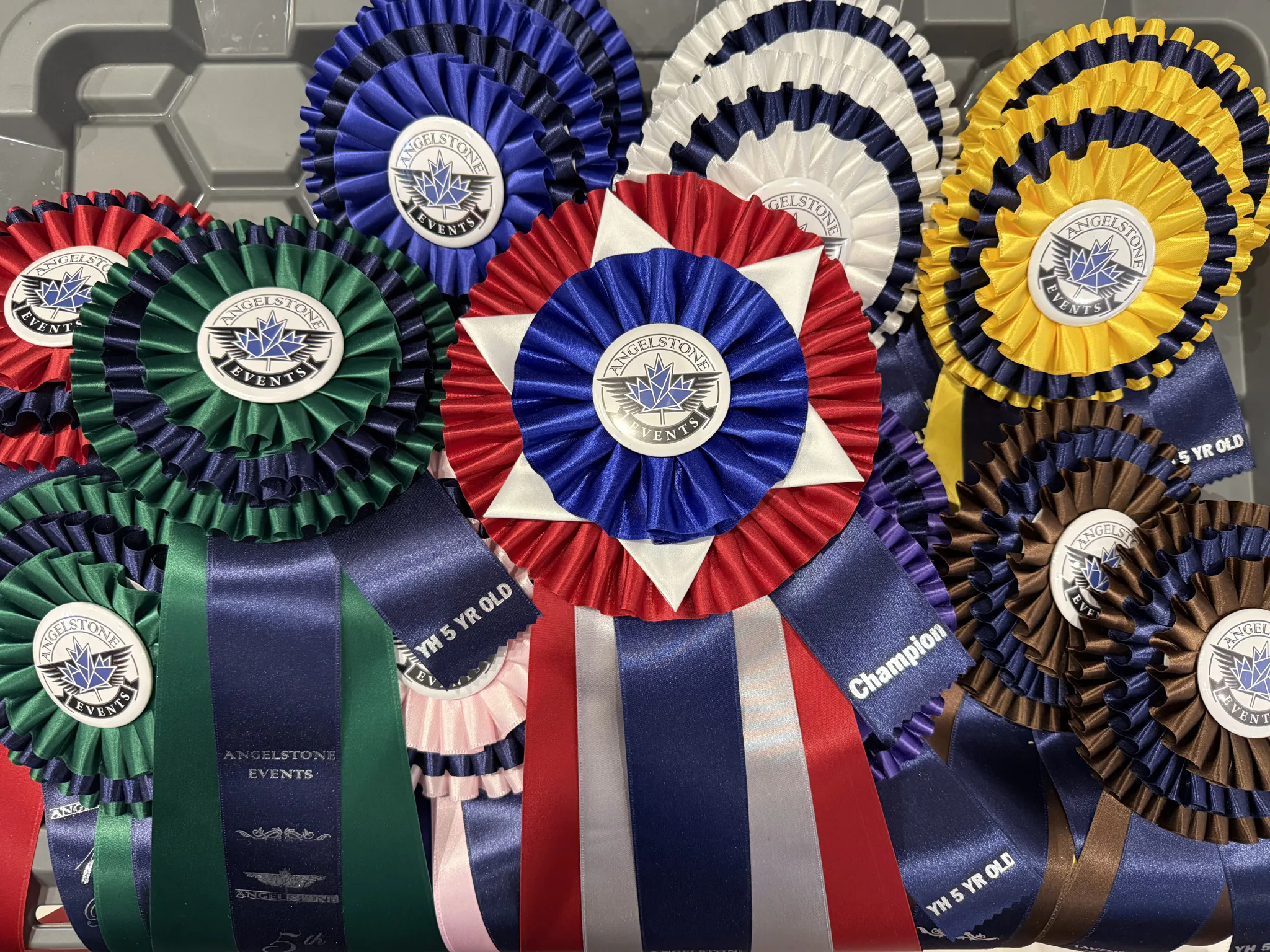 Custom champion rosette award ribbons made in Canada